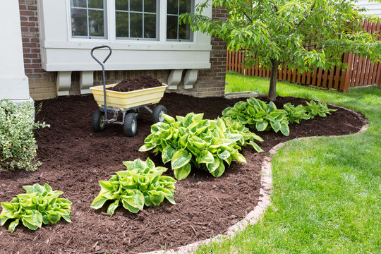 Mulch & Hardscaping